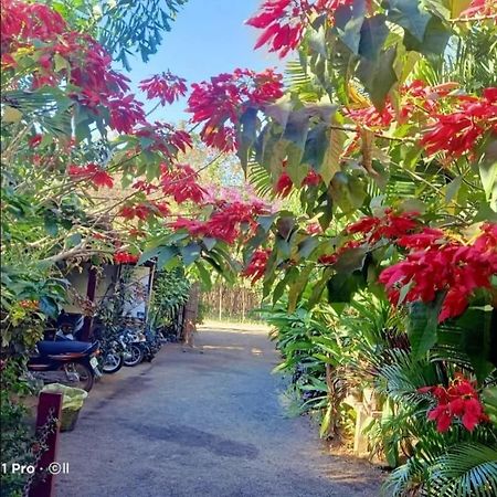 Tribal Village Homestay & Trekking بانلونغ المظهر الخارجي الصورة