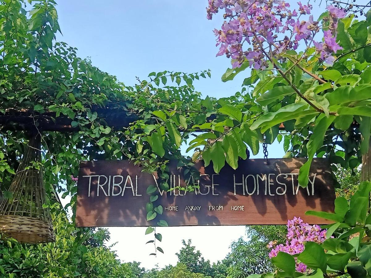Tribal Village Homestay & Trekking بانلونغ المظهر الخارجي الصورة