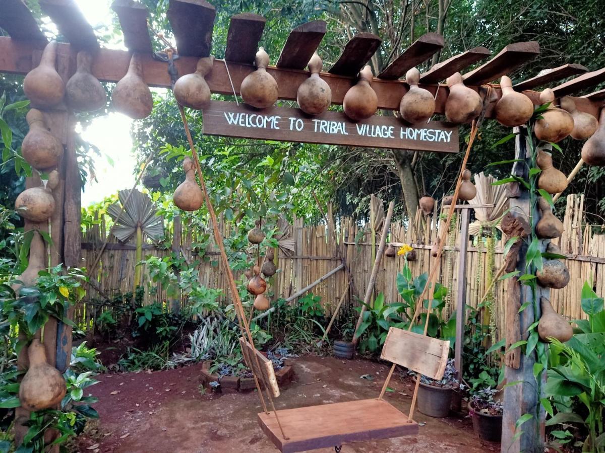 Tribal Village Homestay & Trekking بانلونغ المظهر الخارجي الصورة