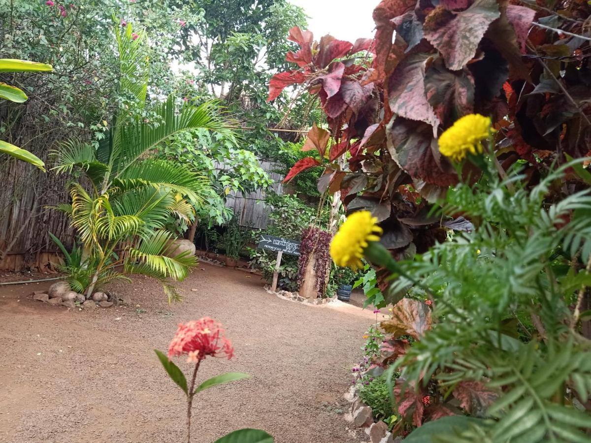 Tribal Village Homestay & Trekking بانلونغ المظهر الخارجي الصورة