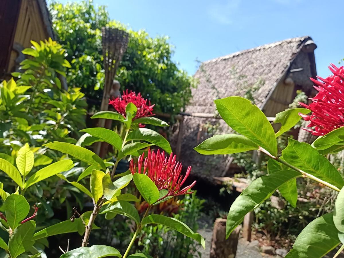 Tribal Village Homestay & Trekking بانلونغ المظهر الخارجي الصورة