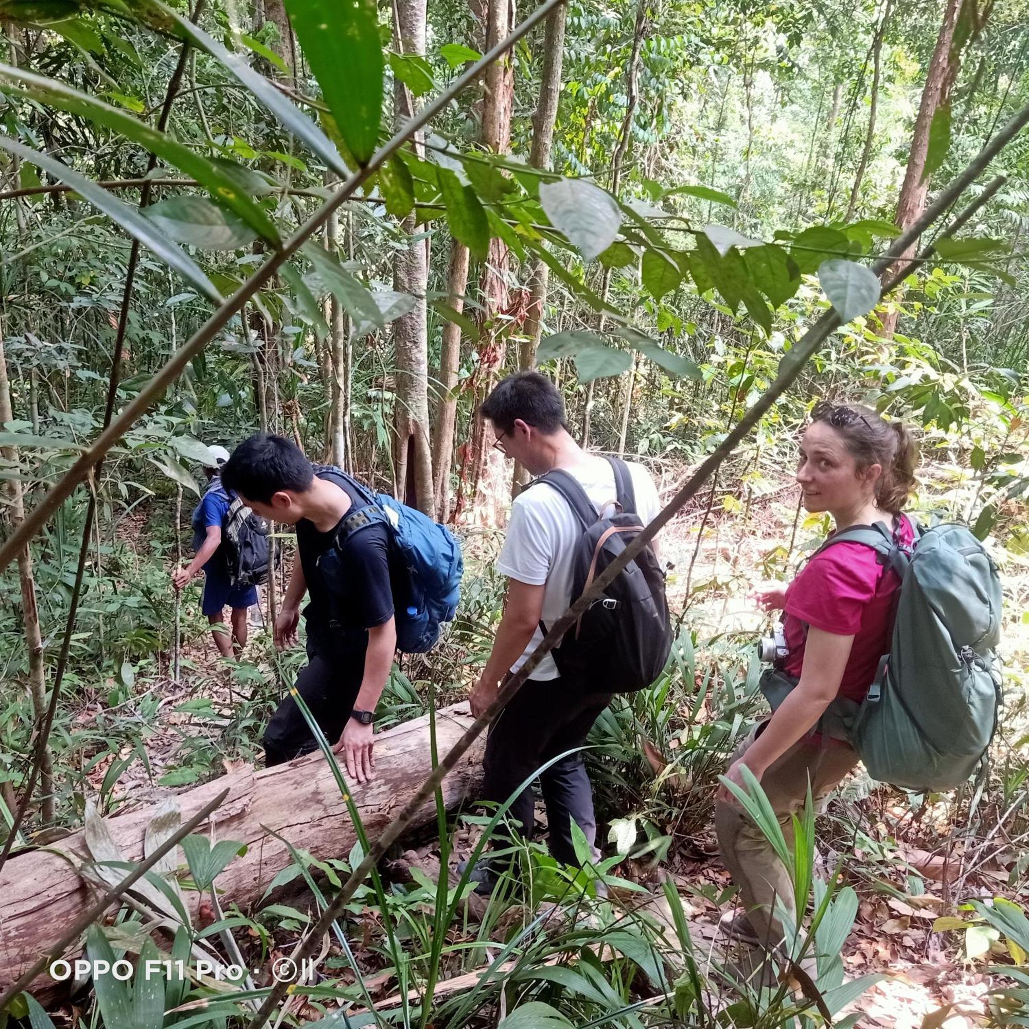 Tribal Village Homestay & Trekking بانلونغ المظهر الخارجي الصورة